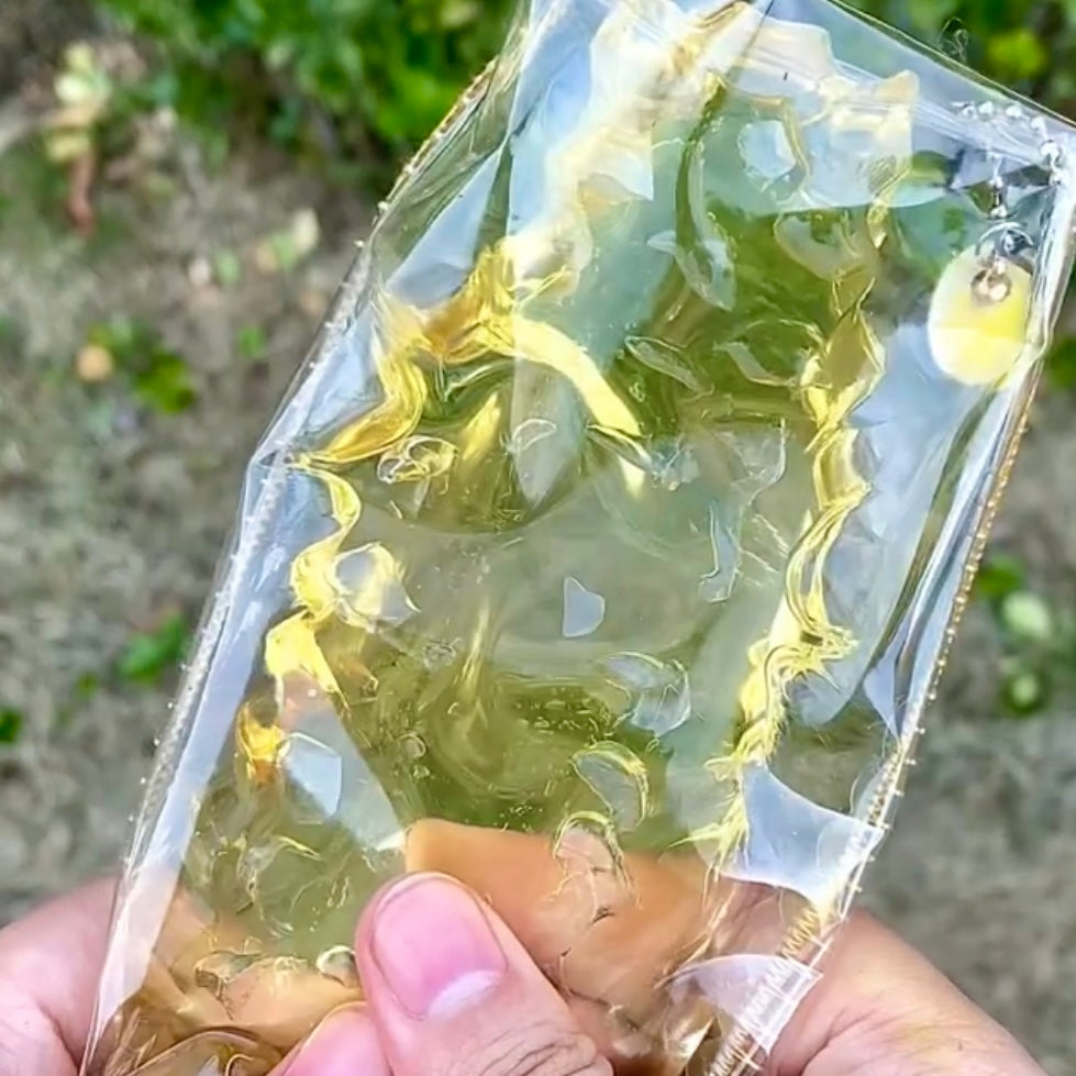 Super Soft Transparent Golden Honeycomb Taba Squishy Toy