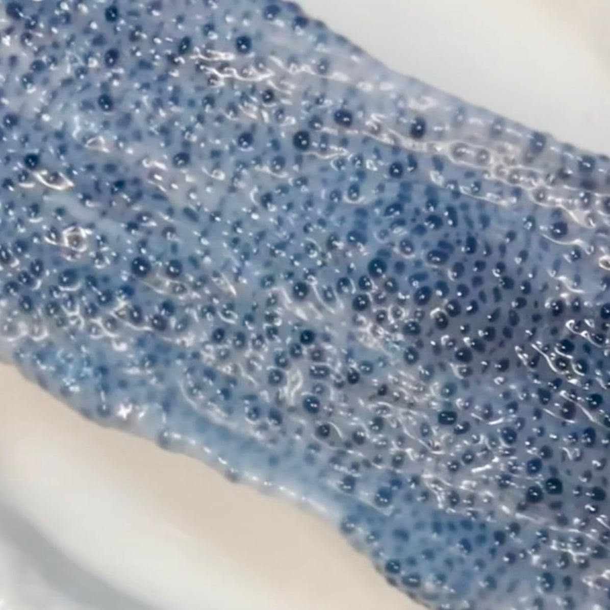 Handmade Obsidian white thin-skin stress ball fidget toy - Charming Cheese