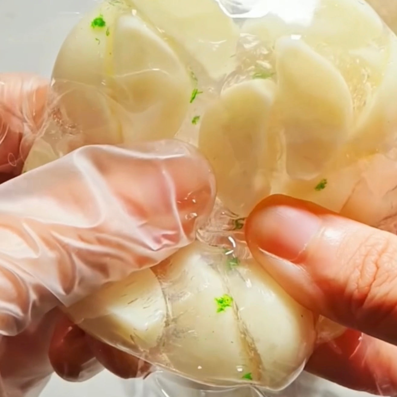 Garlic Stress Ball Fidget Toy 🧄 - Charming Cheese