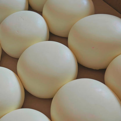 Dry Cheese Bun Slow Rising Squishy Toy