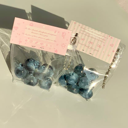 A Small Bag of Blueberries 🫐 Taba Squishy Toy Pendant