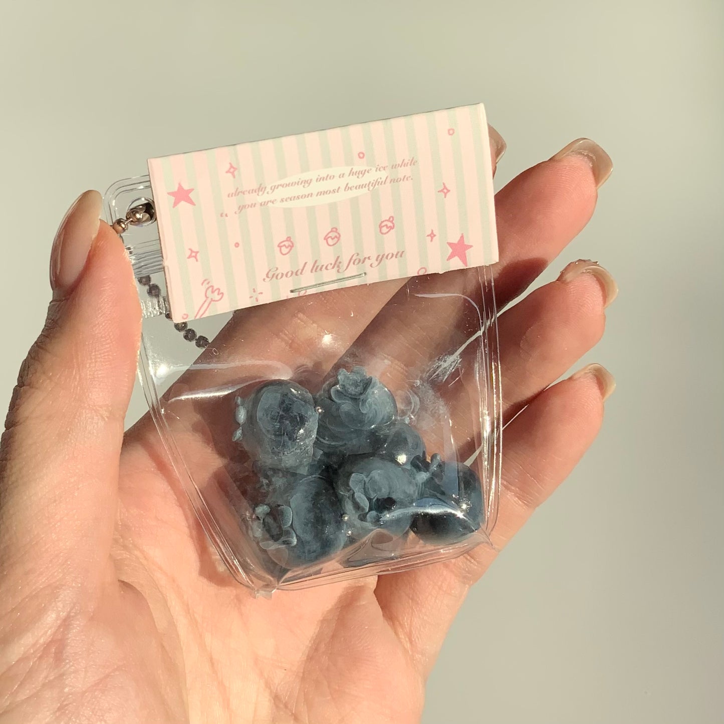 A Small Bag of Blueberries 🫐 Taba Squishy Toy Pendant
