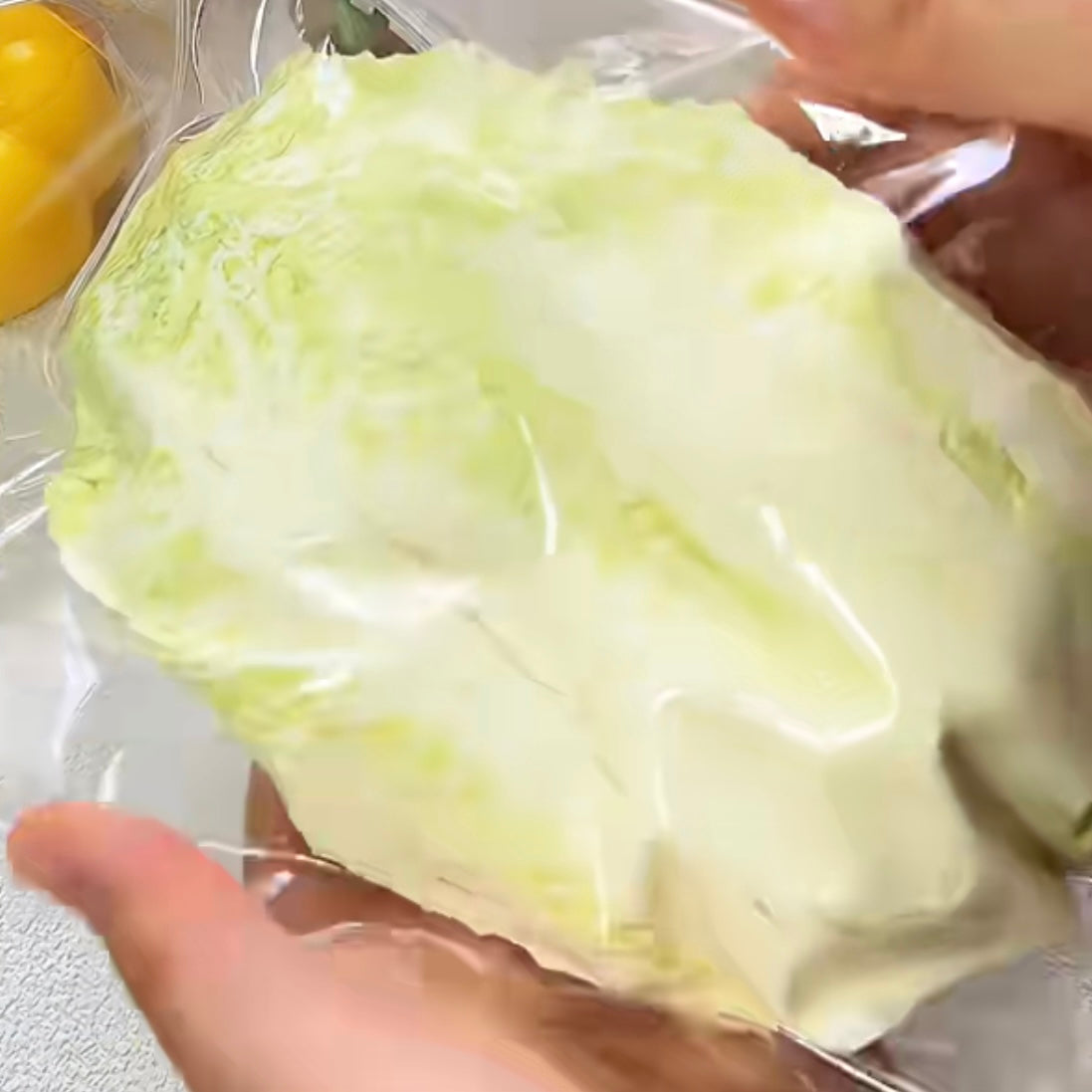 Hand-drawn Giant Napa Cabbage Taba Squishy